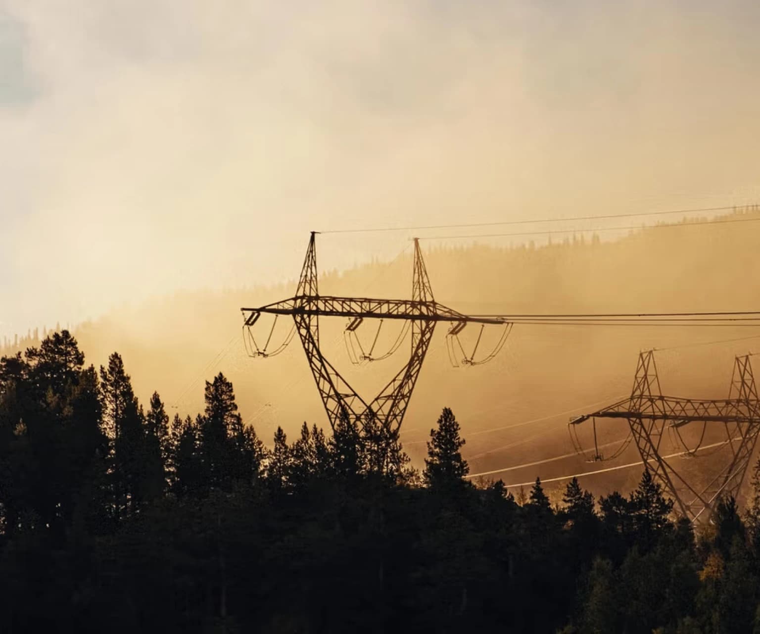High-voltage power lines and transmission tower in forest landscape during sunset.